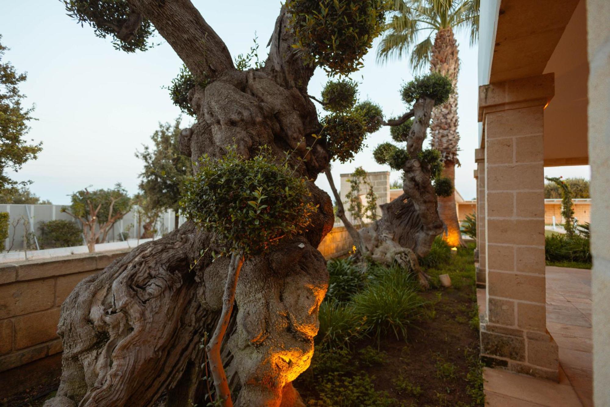 Don Onofrio Villa Monopoli Exterior photo